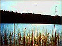 Turystyka