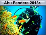 Safari Abu Fendera 2013