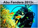 Safari Abu Fendera 2013