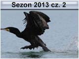 Sezon 2013 cz. 2