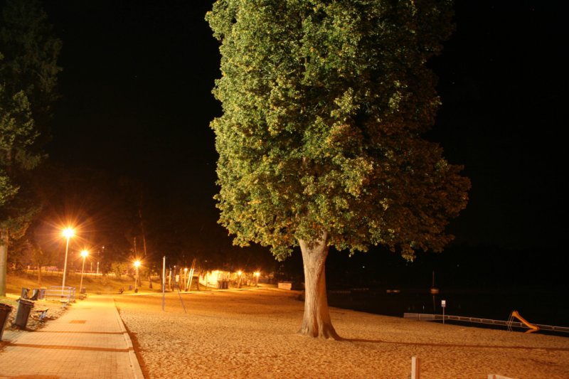 photo7.jpg