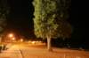 photo7_small.jpg