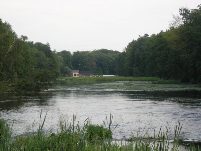 photo9.jpg